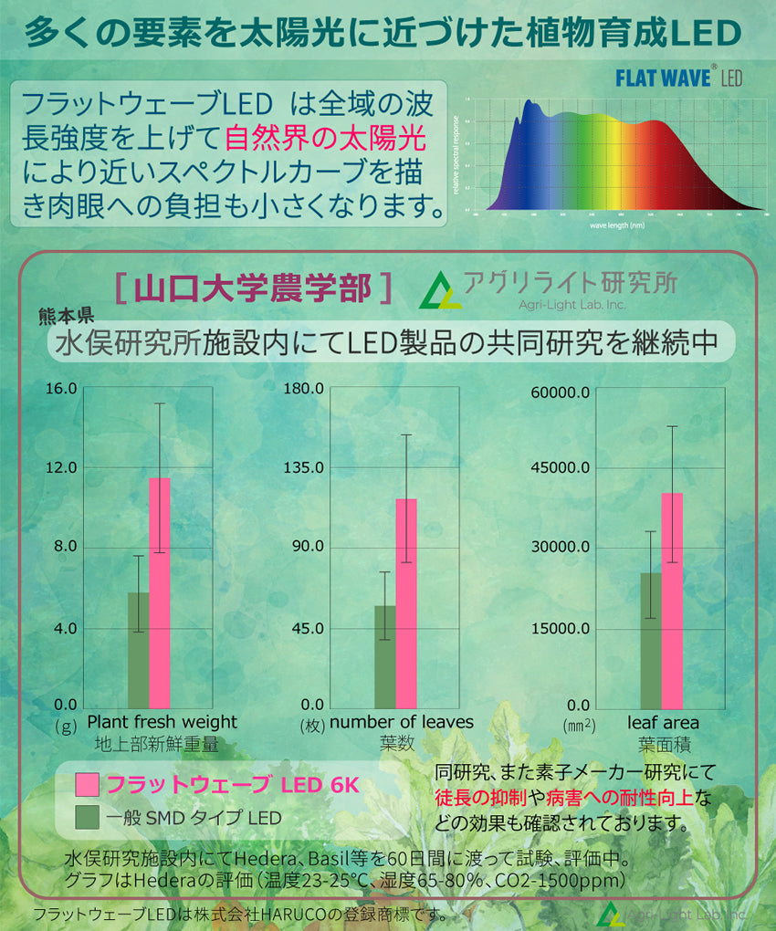 HaruDesign 植物育成ライト HASU38 6K 白色系 ブラックボディ フラット