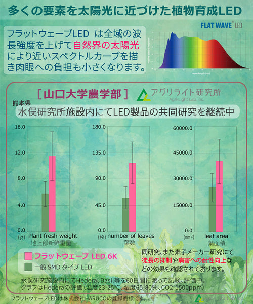 HaruDesign 植物育成LEDライト HASU38 spec9 6K 白色系 スワールボディ フラットウェーブLED (FLAT WAVE LED)