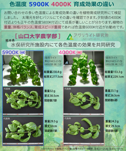 HaruDesign 植物育成LEDライト Light STAFF VA 4K McW 暖色系 4000ケルビン