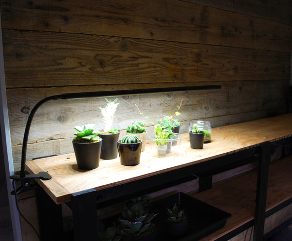 HaruDesign 植物育成ライト BAR LIGHT L610 (バーライト L610)サムスンLM281+Pro LED 32W スイッチ付き/調光機能無し