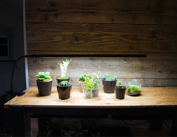 HaruDesign 植物育成ライト BAR LIGHT L610 (バーライト L610)サムスンLM281+Pro LED 32W スイッチ付き/調光機能無し