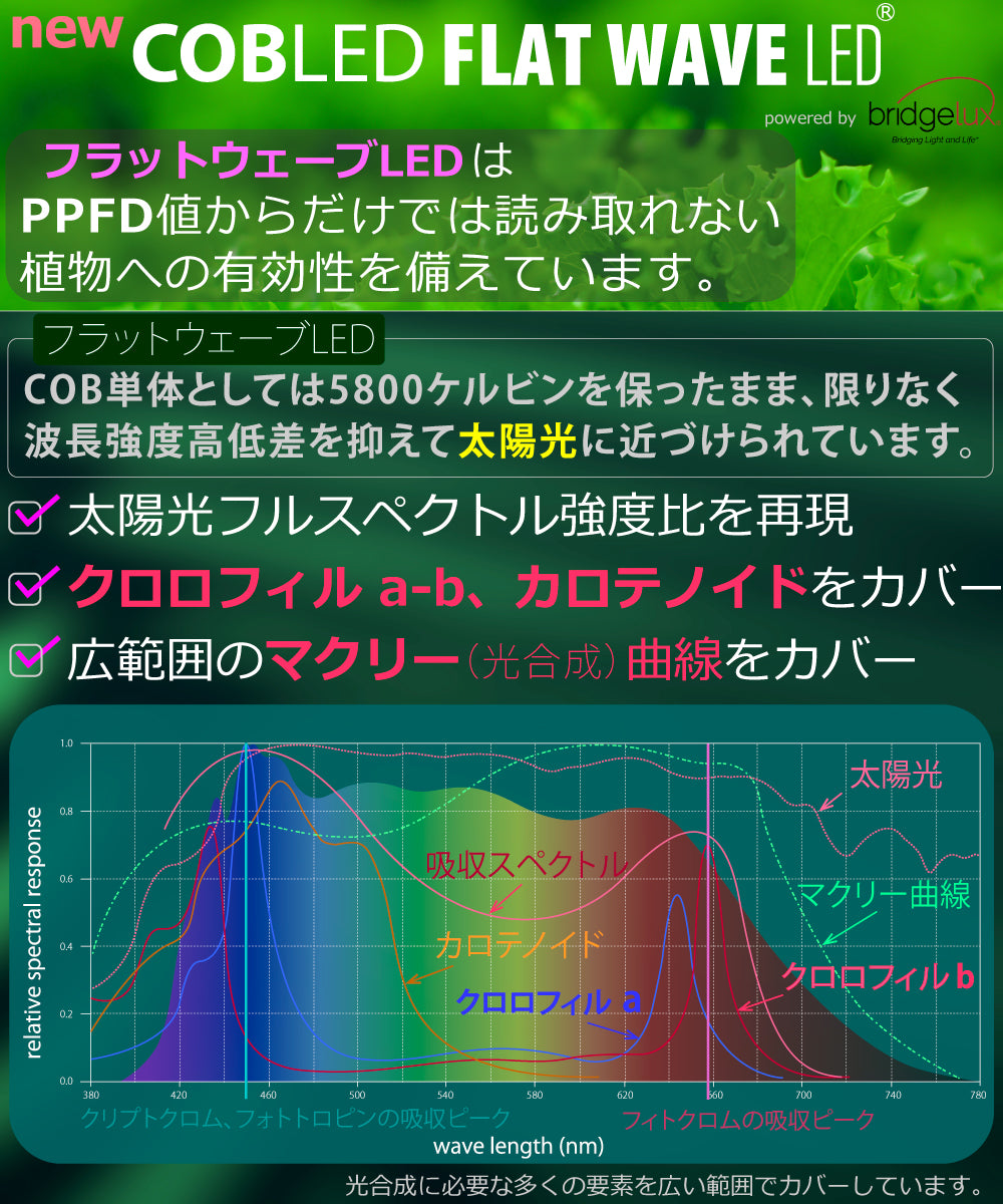 HASU 38 S9 6K FtW 2個 HaruDesign 植物育成ライト HASU38 6K 白色系 ブラックボディ フラット