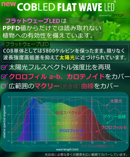 HaruDesign 植物育成LEDライト HASU38 spec9 6K 白色系 スワールボディ フラットウェーブLED (FLAT WAVE LED)