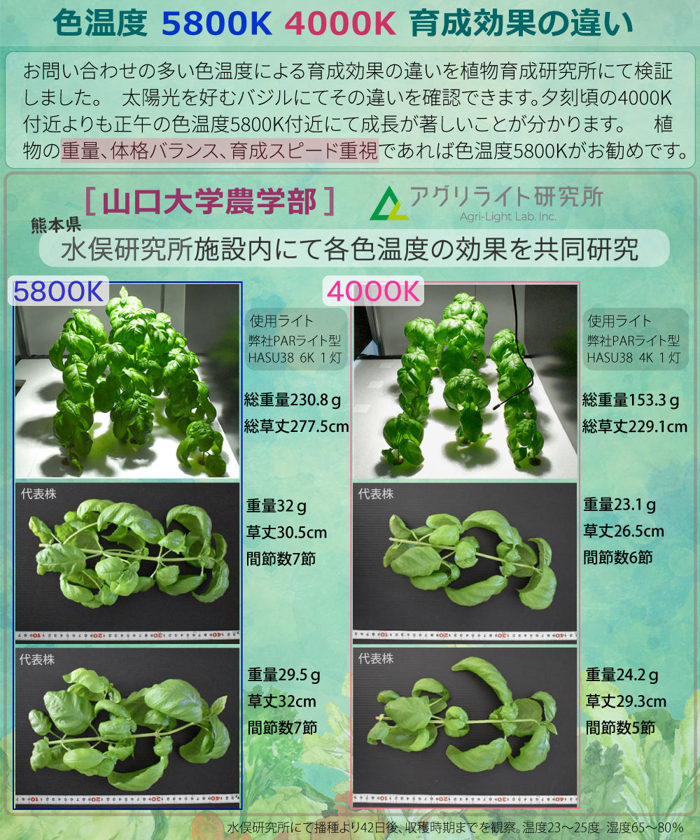 HaruDesign 植物育成LEDライト GL-A 4K McW 暖色系 4000ケルビン – HaruDesign official