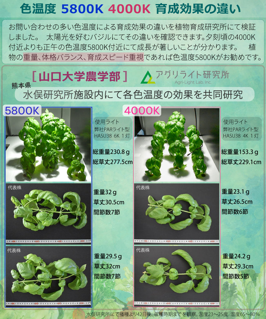 HaruDesign 植物育成LEDライト Light STAFF VA 4K McW 暖色系 4000ケルビン – HaruDesign  official