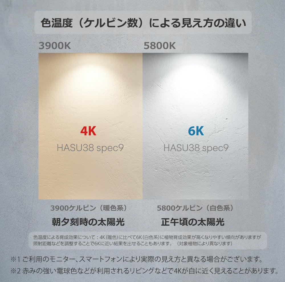 HaruDesign 植物育成ライト HASU38 spec9 4K ホワイトスワールボディ