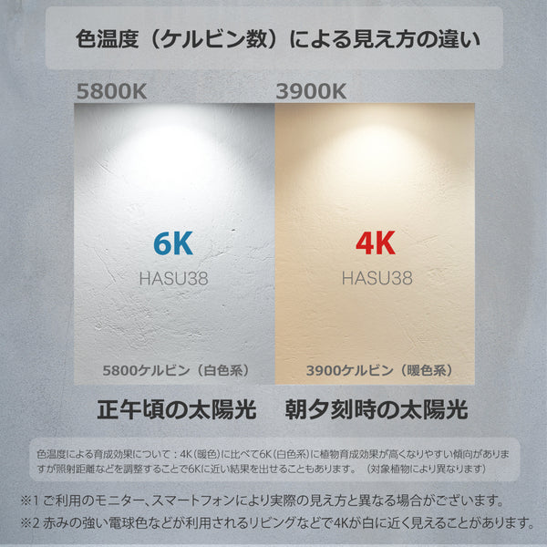 HaruDesign 植物育成ライト HASU38 4K 暖色系 ブラックボディ McウェーブLED搭載 フルスペクトル フリッカーフリー 耐熱apec(C)レンズ2026年更新 【製品3年保証】