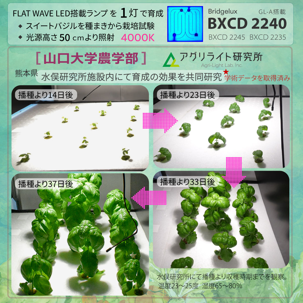 HaruDesign 植物育成ライト GL-A 4K マットホワイトボディ 暖色系