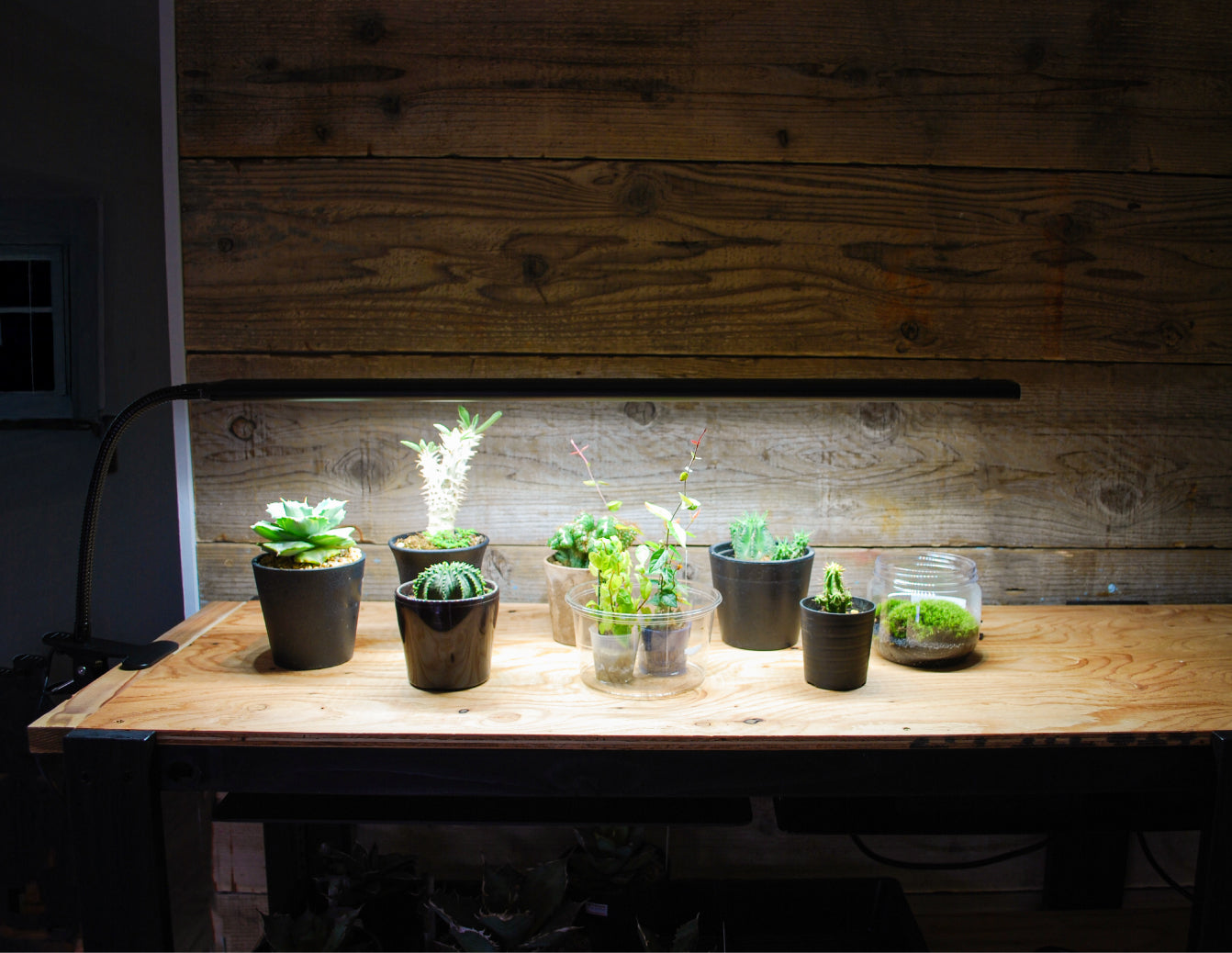 HaruDesign 植物育成ライト BAR LIGHT L610 （バーライト L610