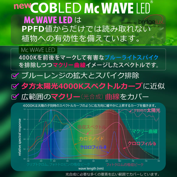 HaruDesign 植物育成ライト HASU38 4K 暖色系 ブラックボディ McウェーブLED搭載 フルスペクトル フリッカーフリー 耐熱apec(C)レンズ2026年更新 【製品3年保証】