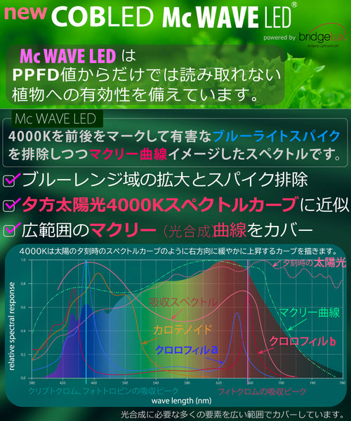 HaruDesign 植物育成LEDライト HASU38 spec9 4K 暖色系 スワールボディ McウェーブLED （Mc WAVE LED）