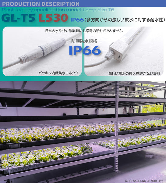 HaruDesign 植物育成LEDライト GL-T5 L530 18Wx2本 サムスンLM281B+Pro IP66 植物工場モデル