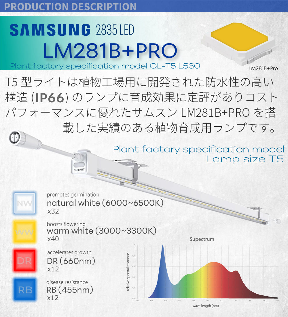 HaruDesign 植物育成LEDライト GL-T5 L530 18Wx2本 サムスンLM281B+Pro IP66 植物工場モデル –  HaruDesign official